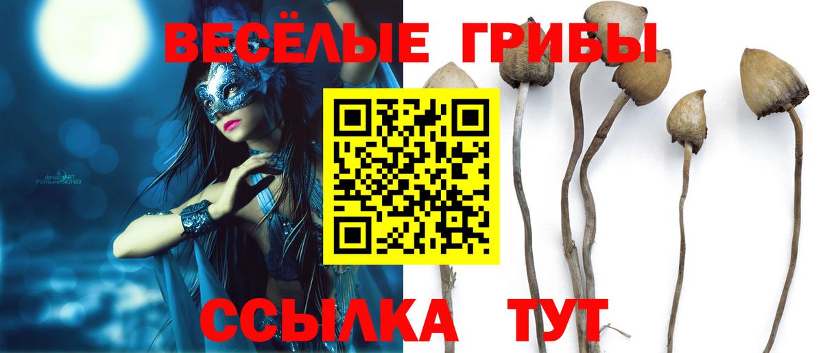 Псилоцибиновые грибы Psilocybine cubensis  Вход с VPN  Лосино-Петровский 